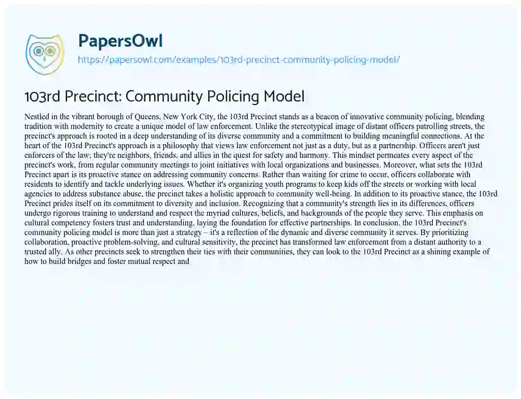 103rd Precinct: Community Policing Model - Free Essay Example - 329 ...