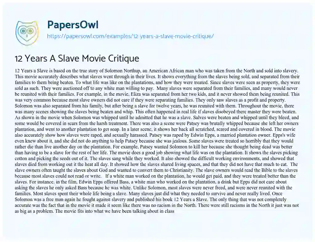 Essay on 12 Years a Slave Movie Critique