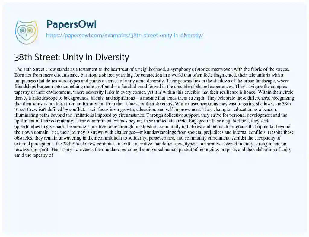 Essay on 38th Street: Unity in Diversity