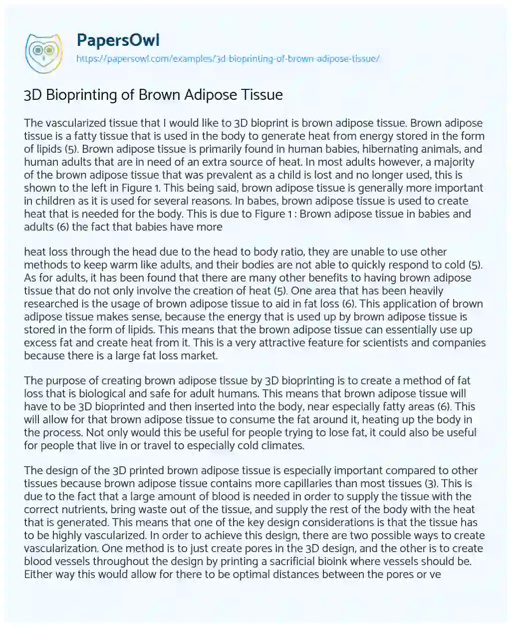 Essay on 3D Bioprinting of Brown Adipose Tissue