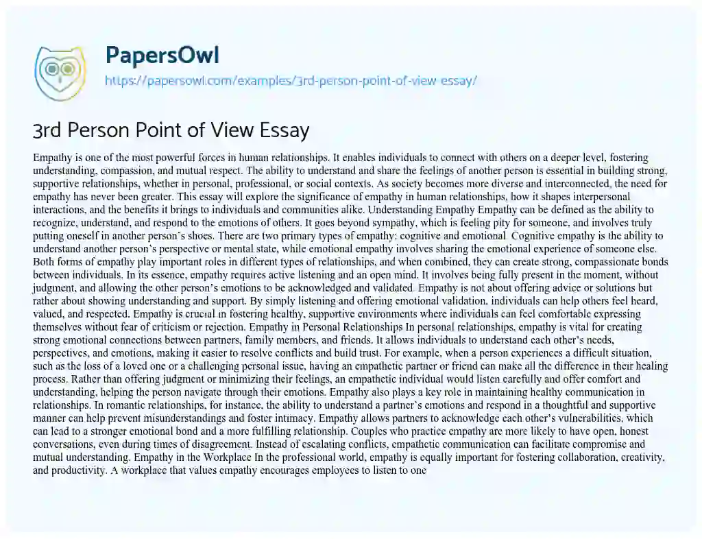 Essay on 3rd Person Point of View Essay