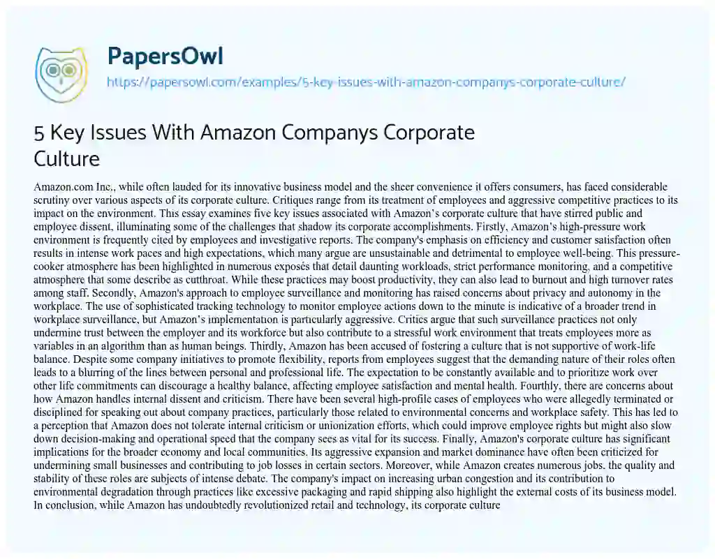 Essay on 5 Key Issues with Amazon Companys Corporate Culture