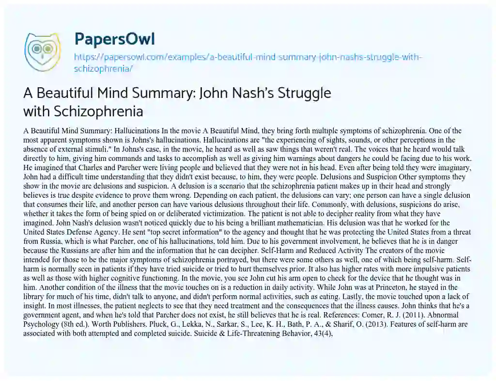Essay on A Beautiful Mind Summary: John Nash’s Struggle with Schizophrenia