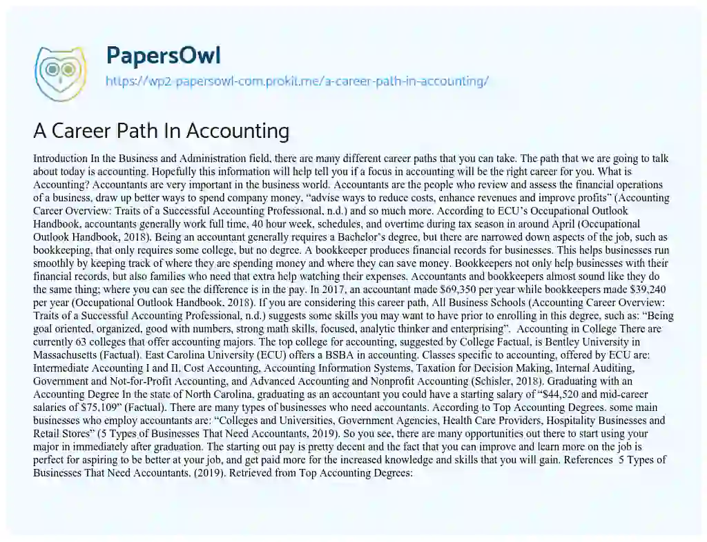 Essay on A Career Path in Accounting