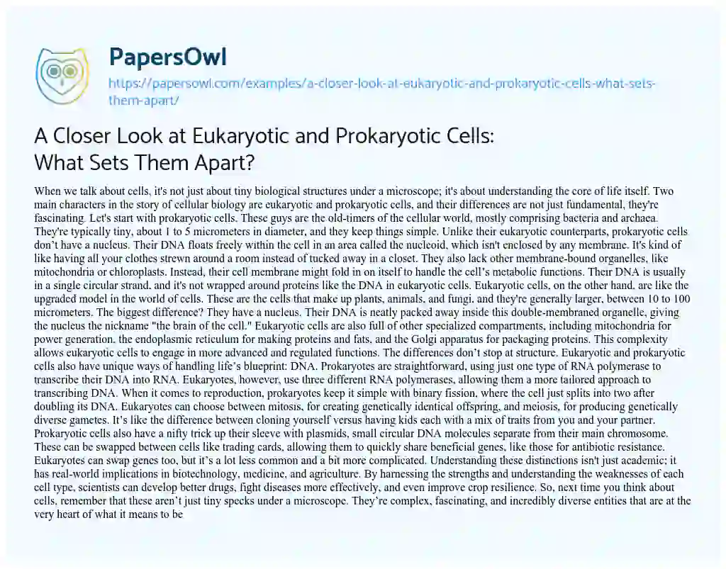 Essay on A Closer Look at Eukaryotic and Prokaryotic Cells: what Sets them Apart?