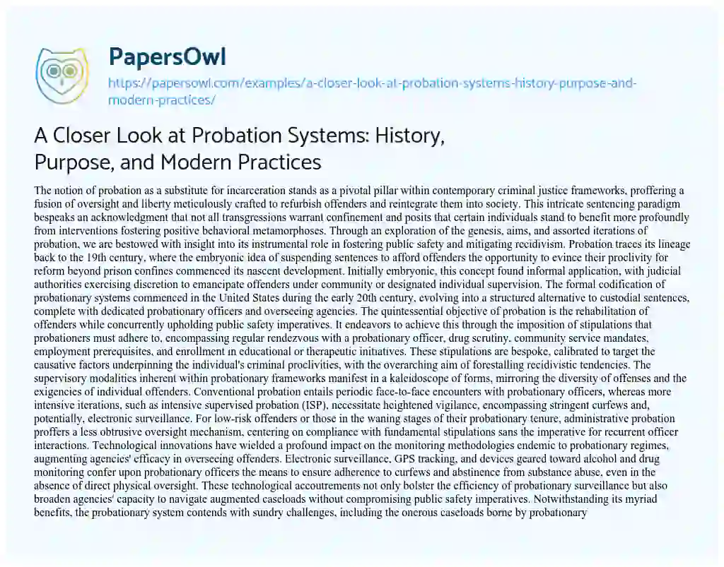Essay on A Closer Look at Probation Systems: History, Purpose, and Modern Practices