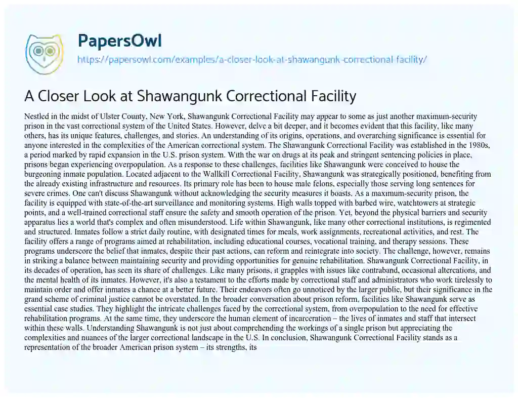Essay on A Closer Look at Shawangunk Correctional Facility