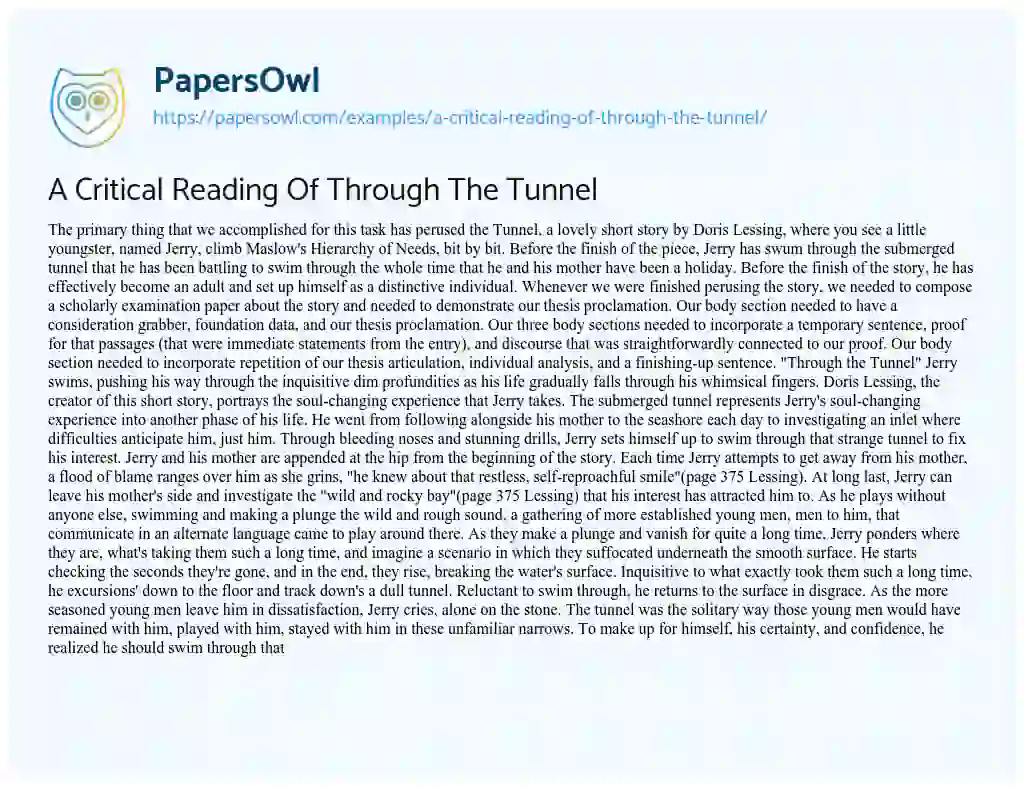 A Critical Reading of through the Tunnel essay