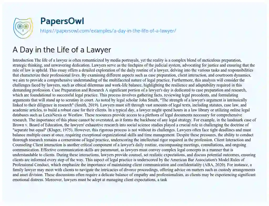 Essay on A Day in the Life of a Lawyer
