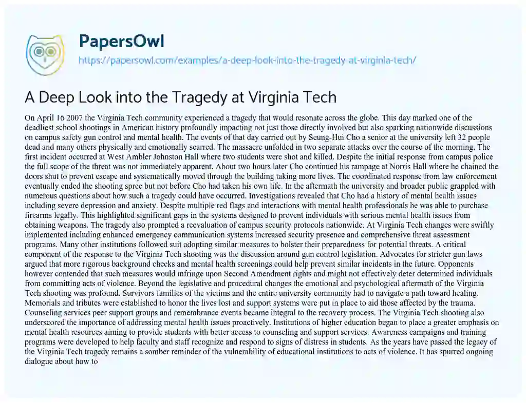 Essay on A Deep Look into the Tragedy at Virginia Tech