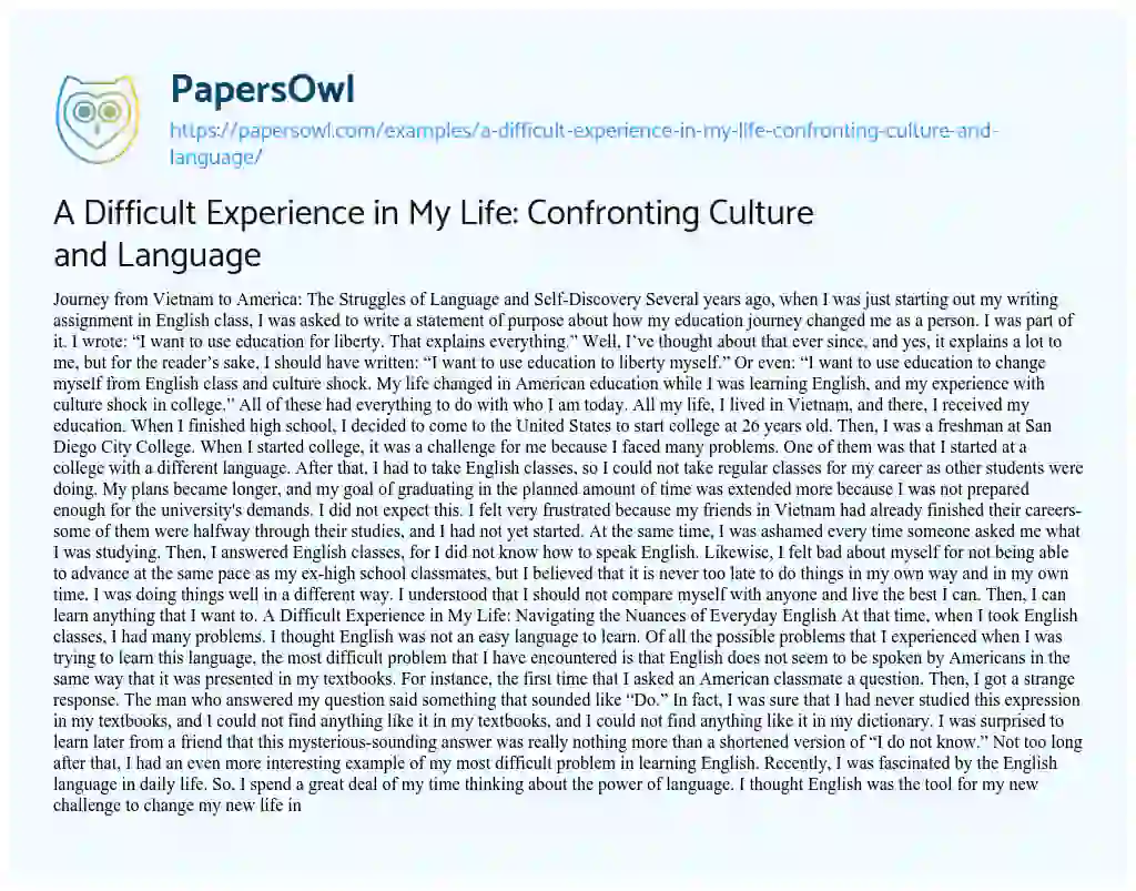 Essay on A Difficult Experience in my Life: Confronting Culture and Language