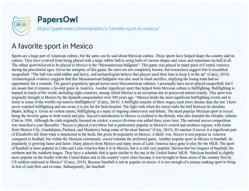A Favorite Sport in Mexico essay