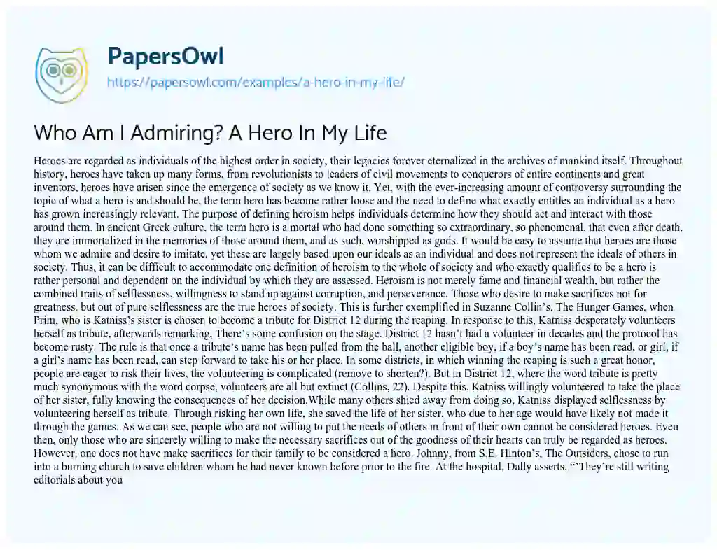 who is a hero in real life essay