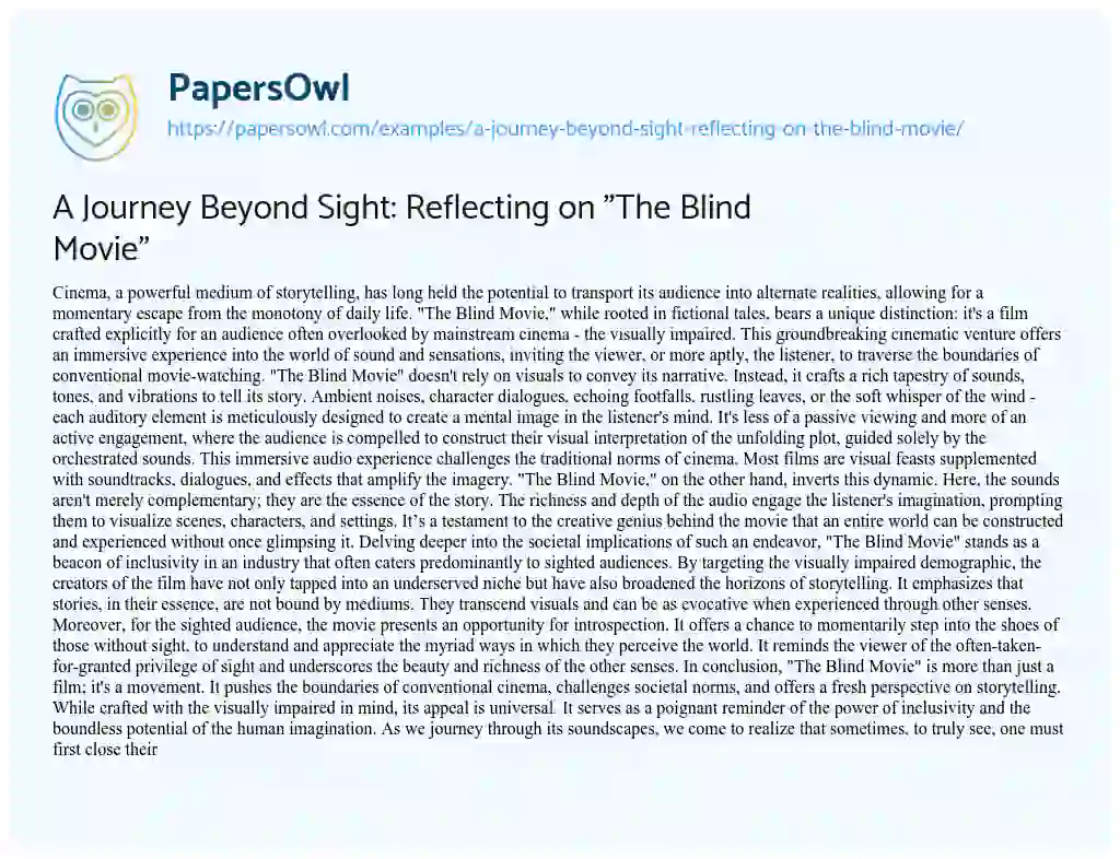 Essay on A Journey Beyond Sight: Reflecting on “The Blind Movie”