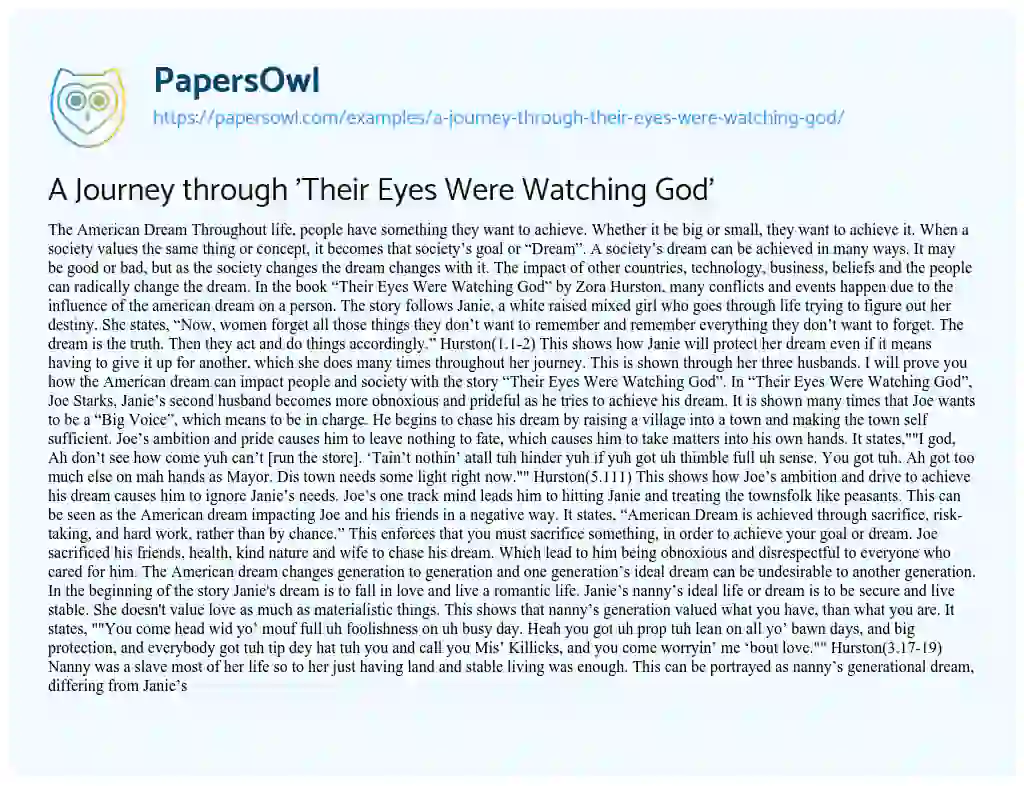 Essay on A Journey through ‘Their Eyes were Watching God’