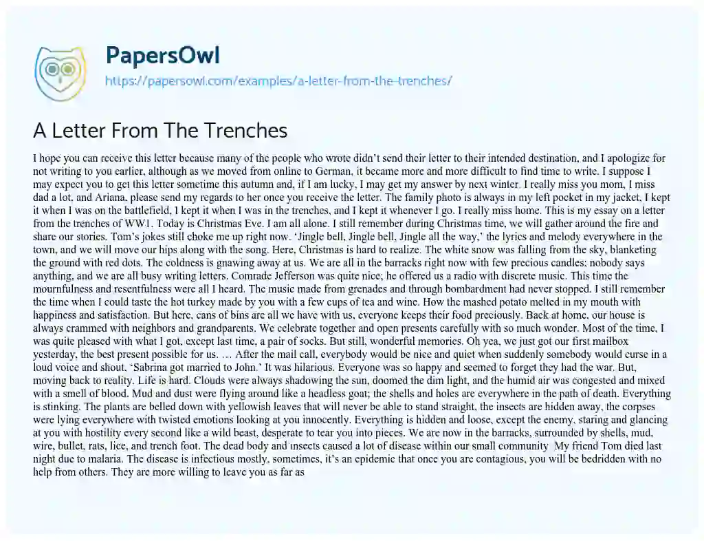 Essay on A Letter from the Trenches