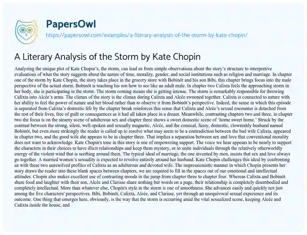 Essay on A Literary Analysis of the Storm by Kate Chopin