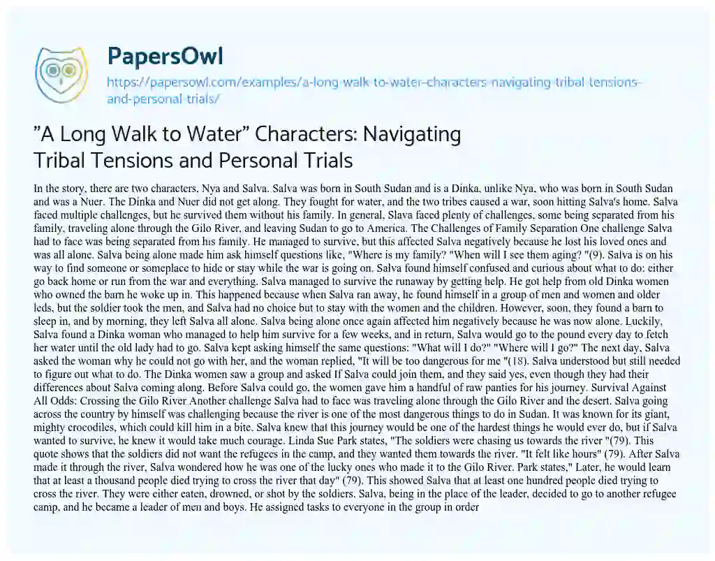Essay on “A Long Walk to Water” Characters: Navigating Tribal Tensions and Personal Trials