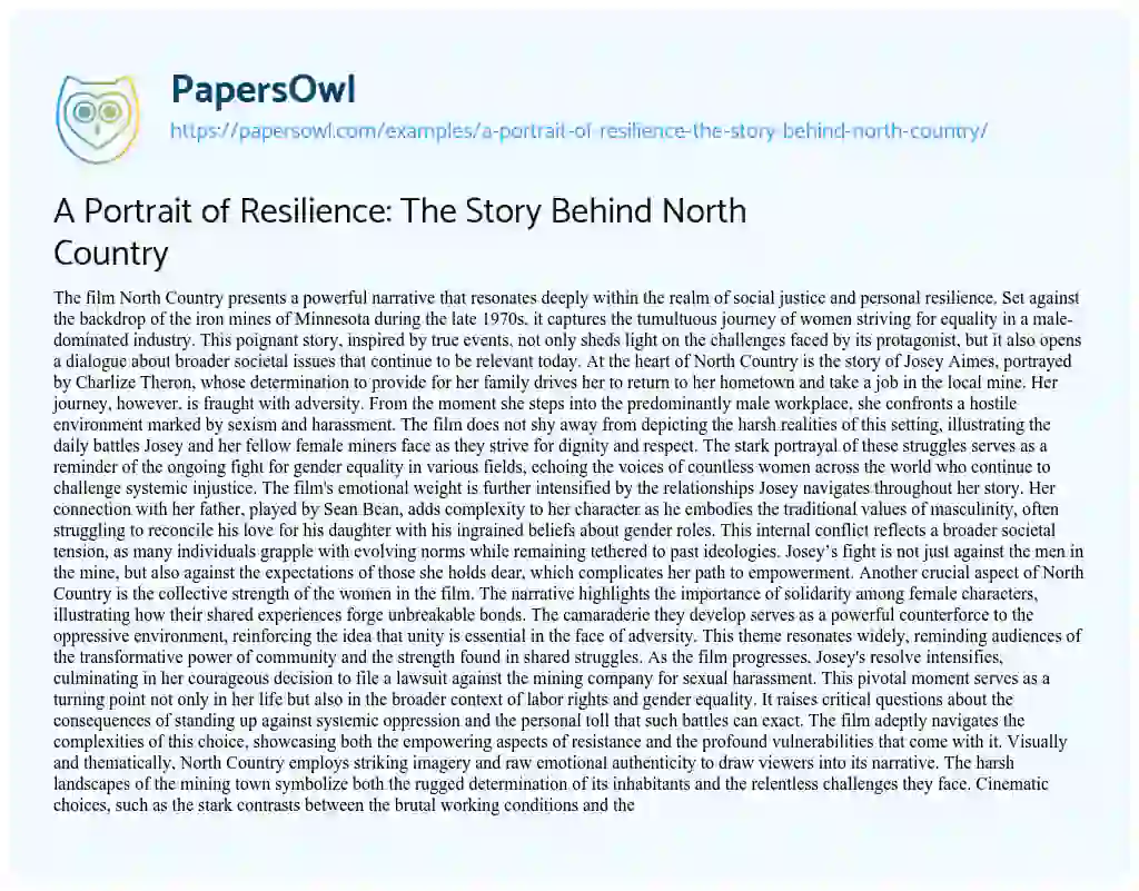 Essay on A Portrait of Resilience: the Story Behind North Country