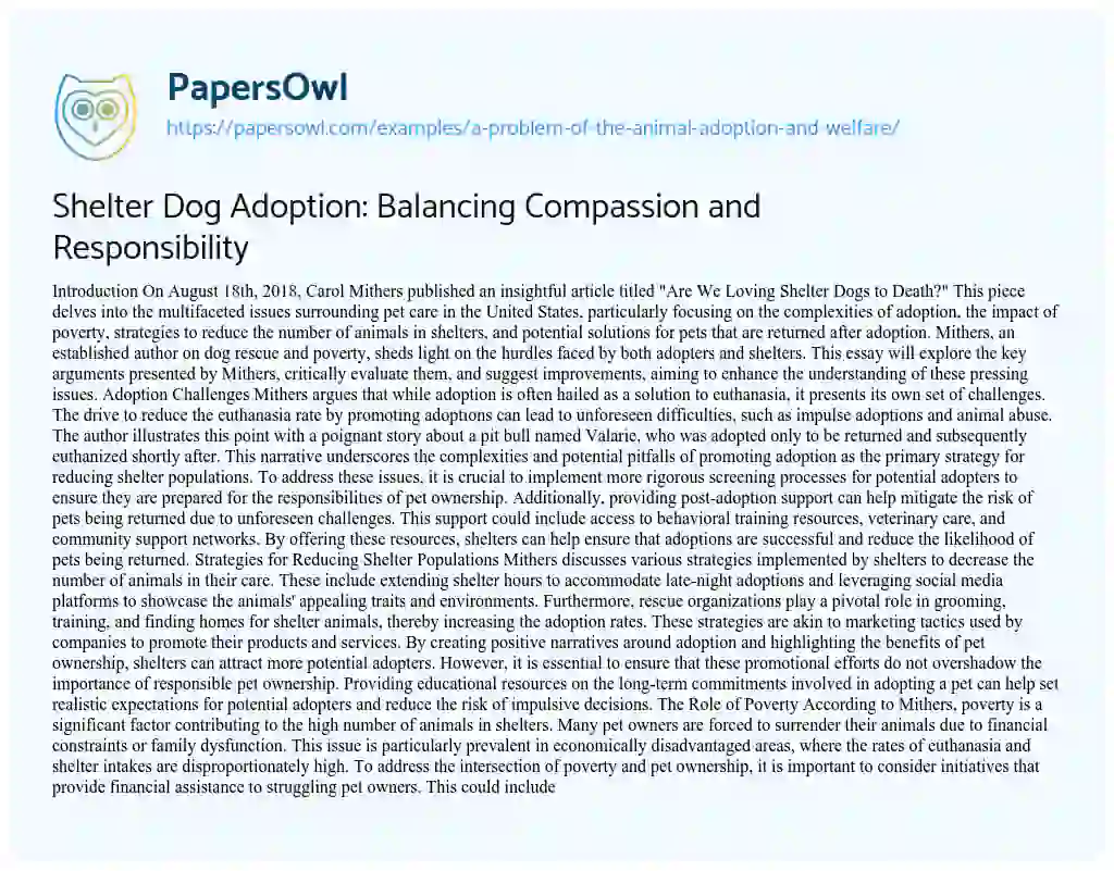 Essay on A Problem of the Animal Adoption and Welfare