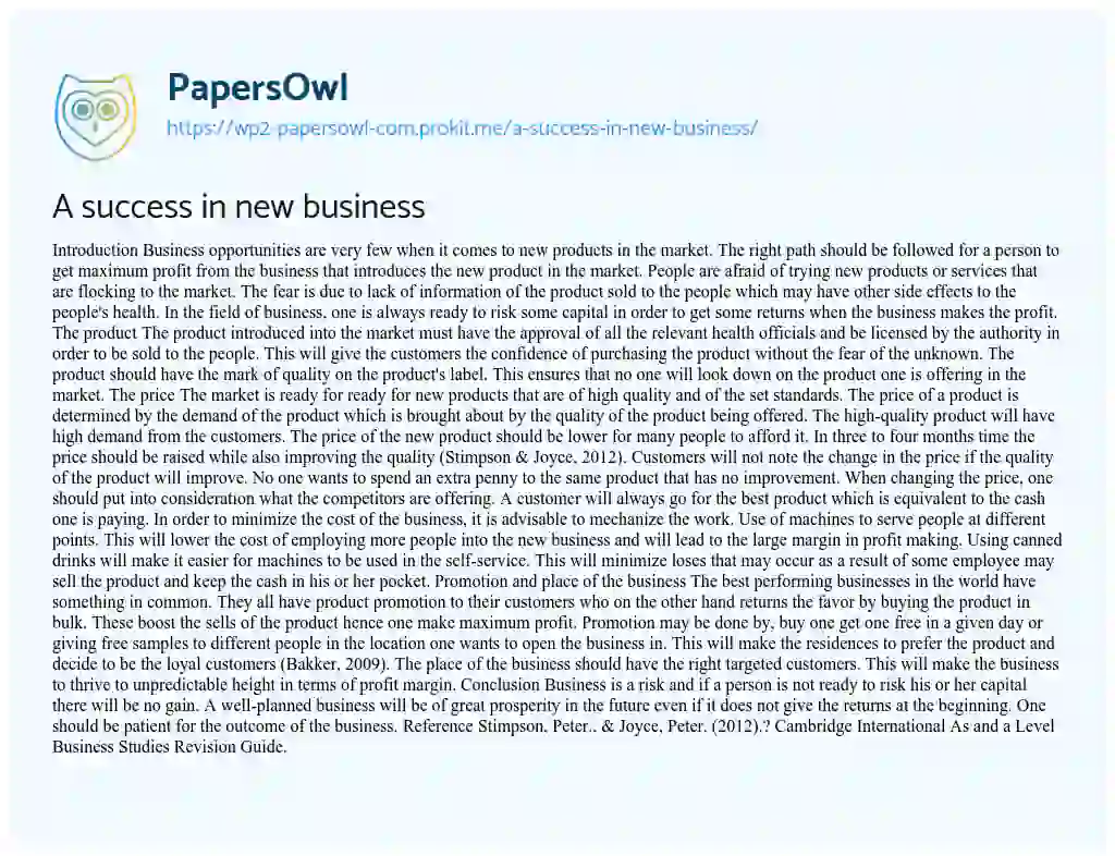Essay on A Success in New Business