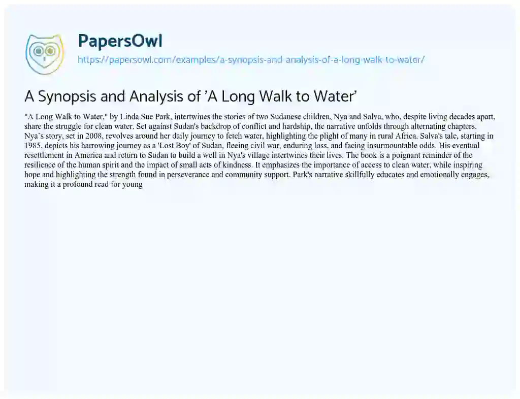 Essay on A Synopsis and Analysis of ‘A Long Walk to Water’