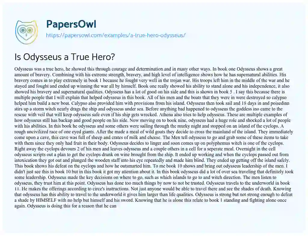 Is Odysseus a True Hero? essay