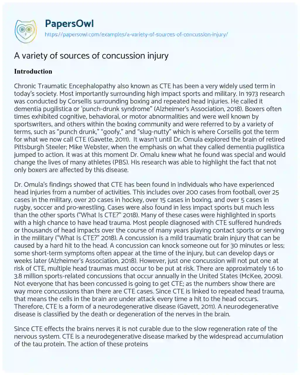 Essay on A Variety of Sources of Concussion Injury