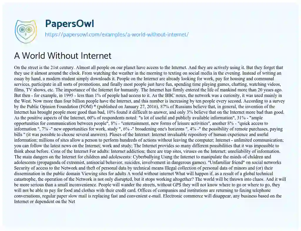 A World Without Internet essay