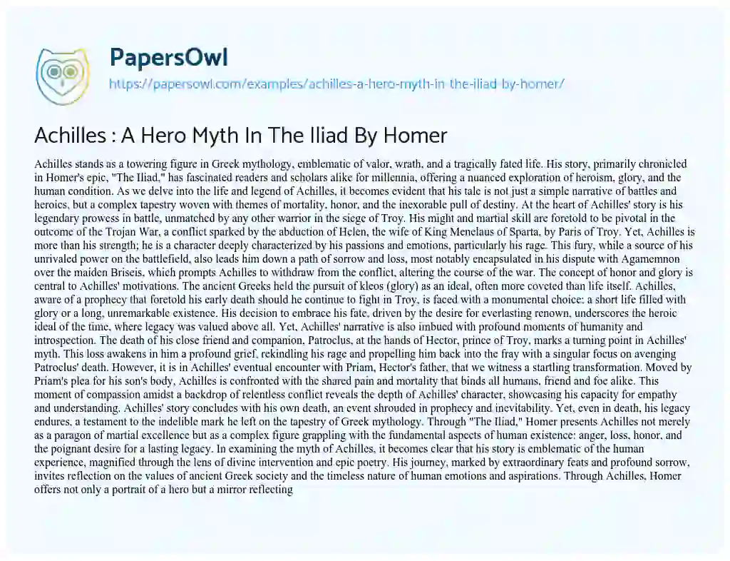 Essay on Achilles : a Hero Myth in the Iliad by Homer