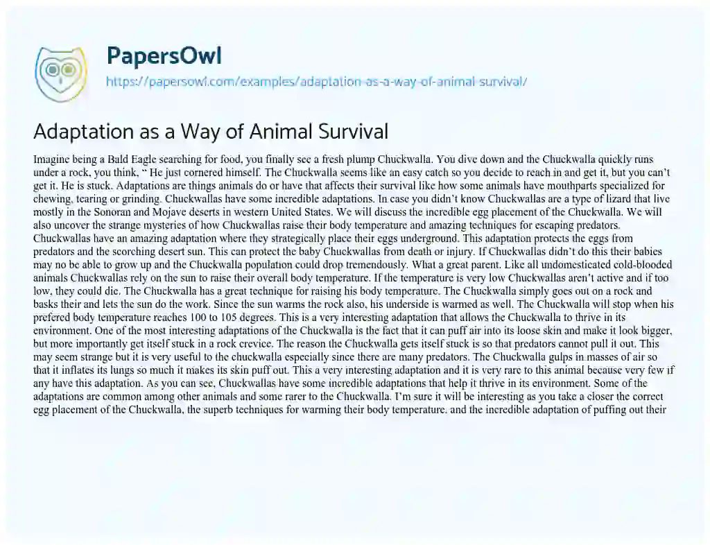 Essay on Adaptation as a Way of Animal Survival