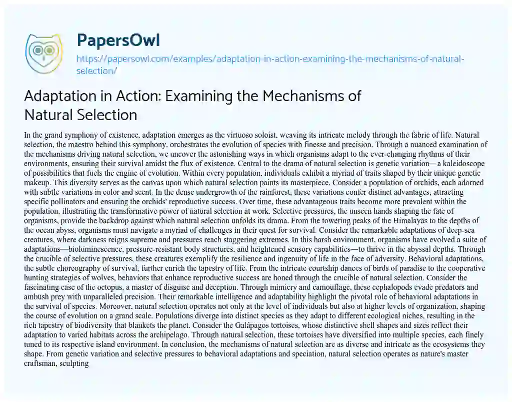 Essay on Adaptation in Action: Examining the Mechanisms of Natural Selection