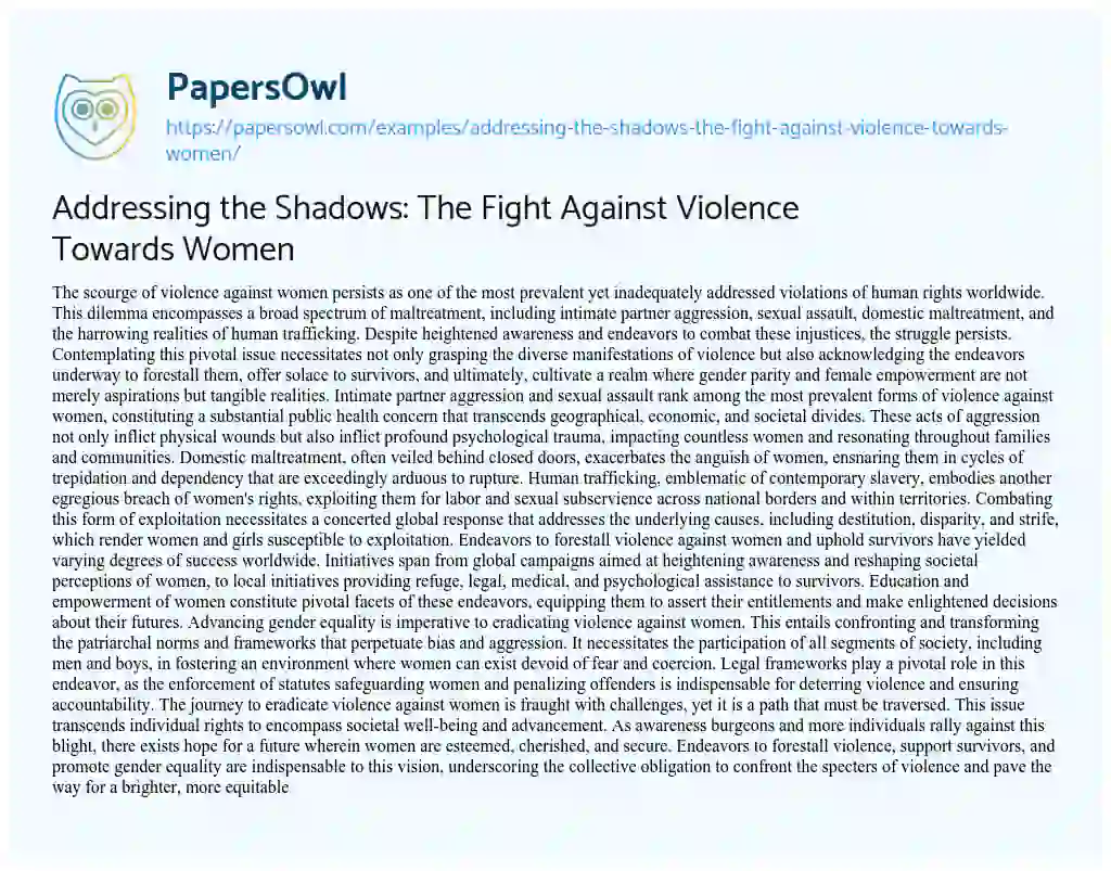 Essay on Addressing the Shadows: the Fight against Violence Towards Women