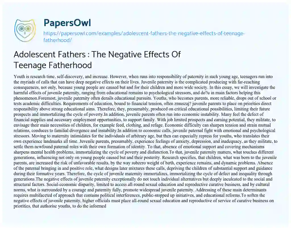 Essay on Adolescent Fathers : the Negative Effects of Teenage Fatherhood