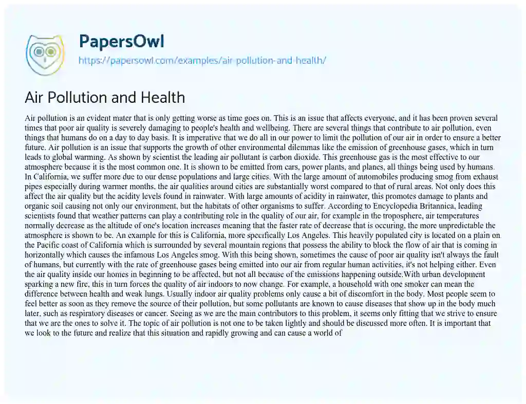 Essay on Air Pollution and Health