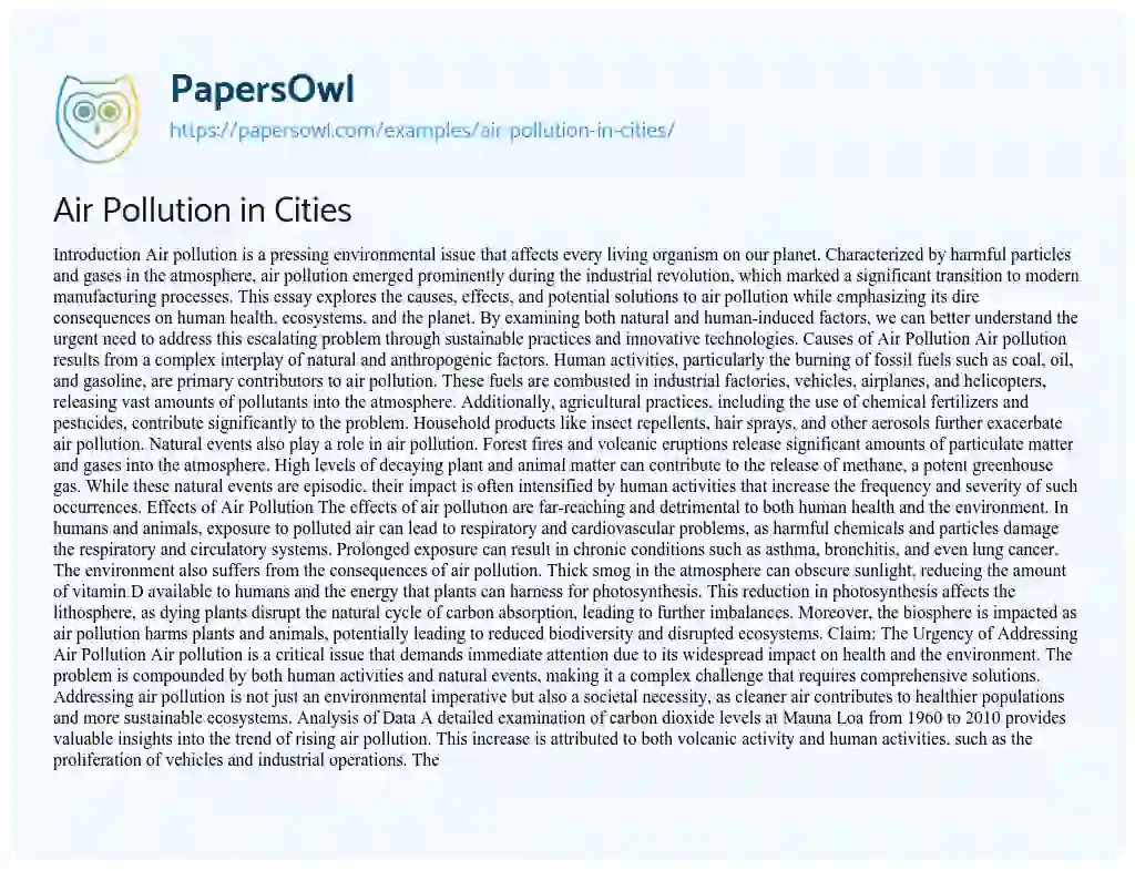 Essay on Air Pollution in Cities