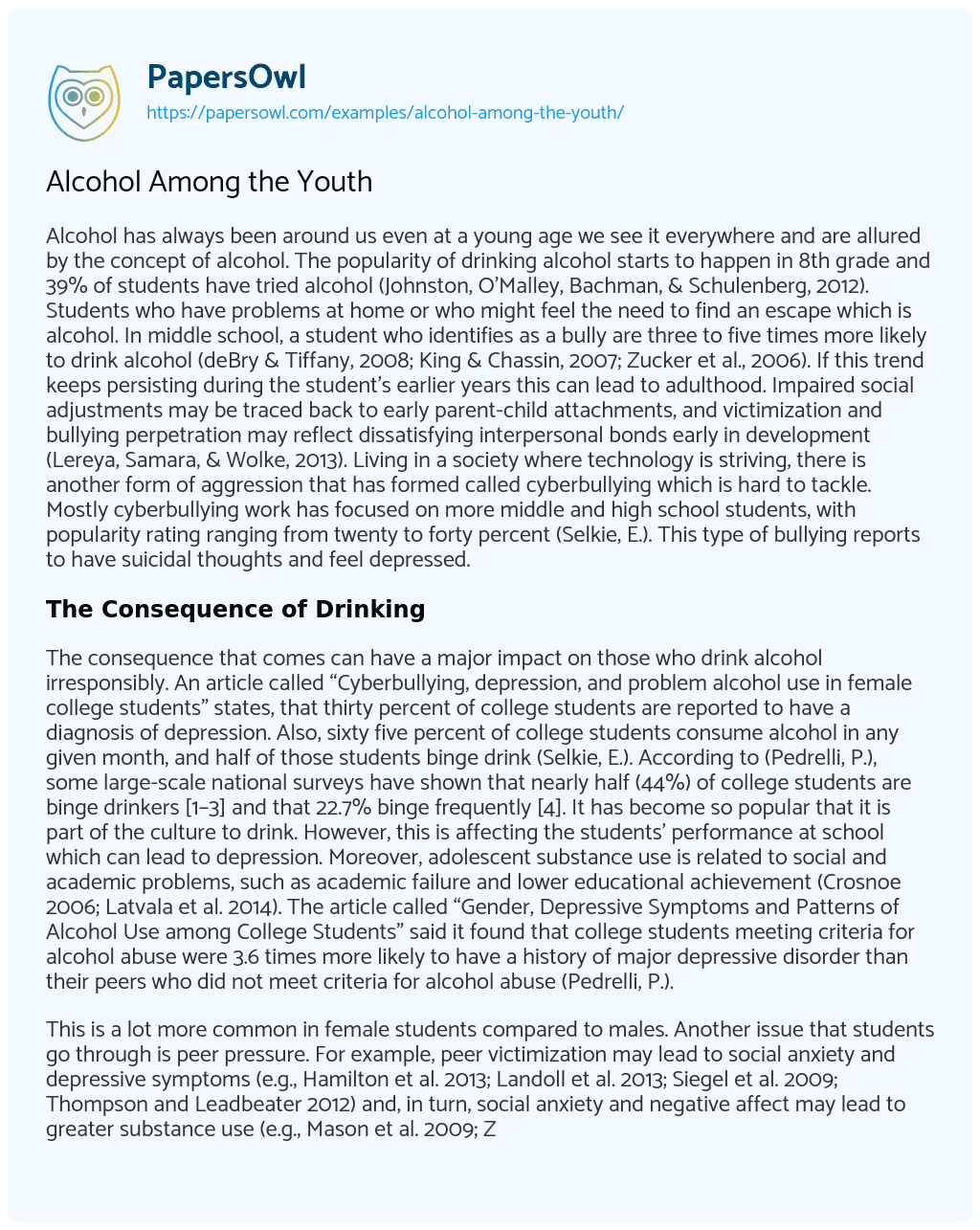 Essay on Alcohol Among the Youth