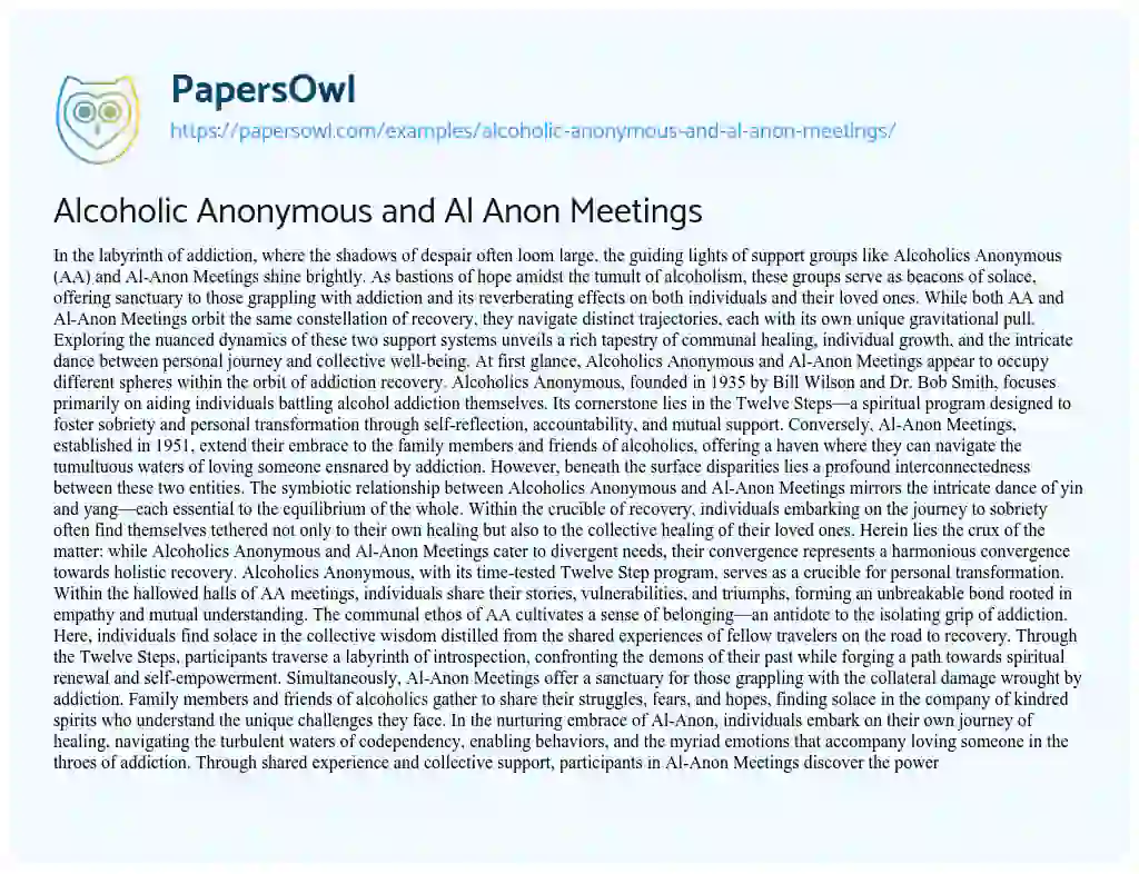 Essay on Alcoholic Anonymous and Al Anon Meetings