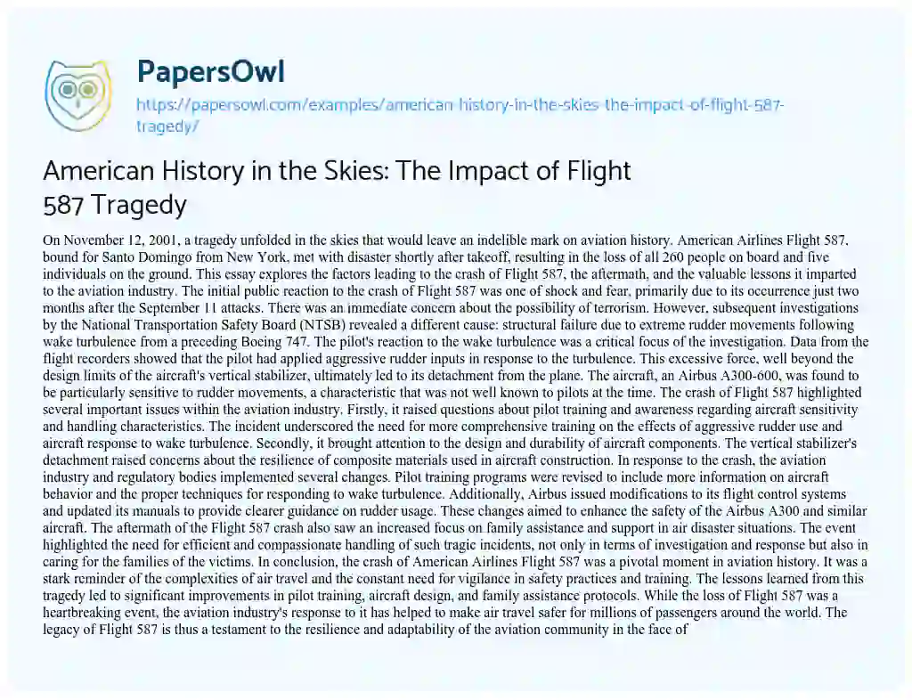 Essay on American History in the Skies: the Impact of Flight 587 Tragedy