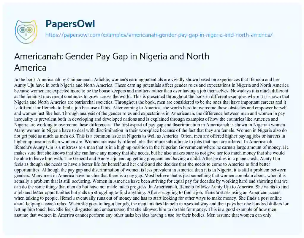 Essay on Americanah: Gender Pay Gap in Nigeria and North America