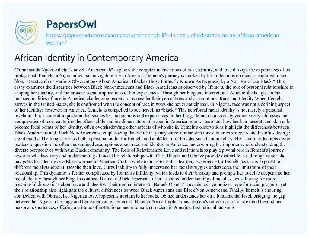 Essay on Americanah: Life in the United States as an African American Woman