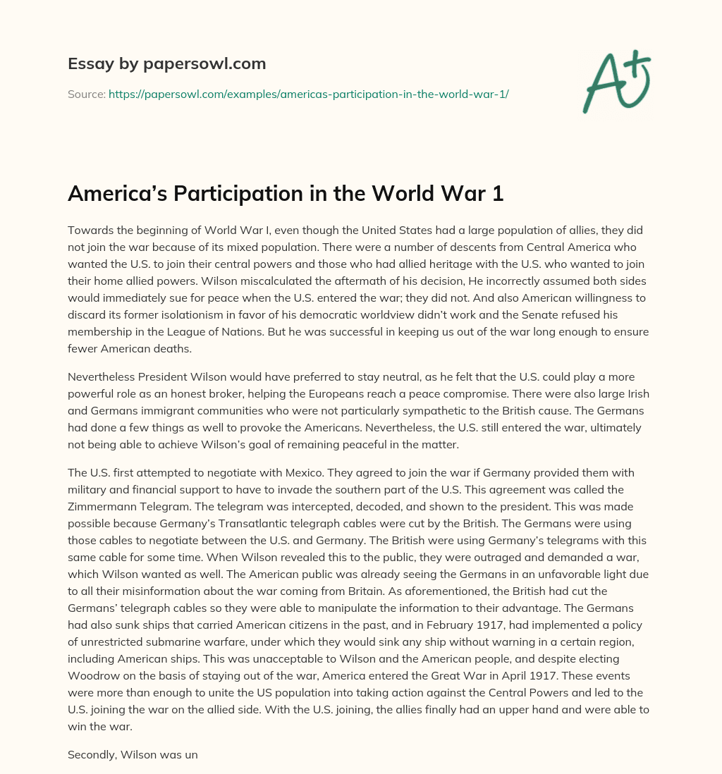 America’s Participation in the World War 1 America’s Participation in the World War 1 essay