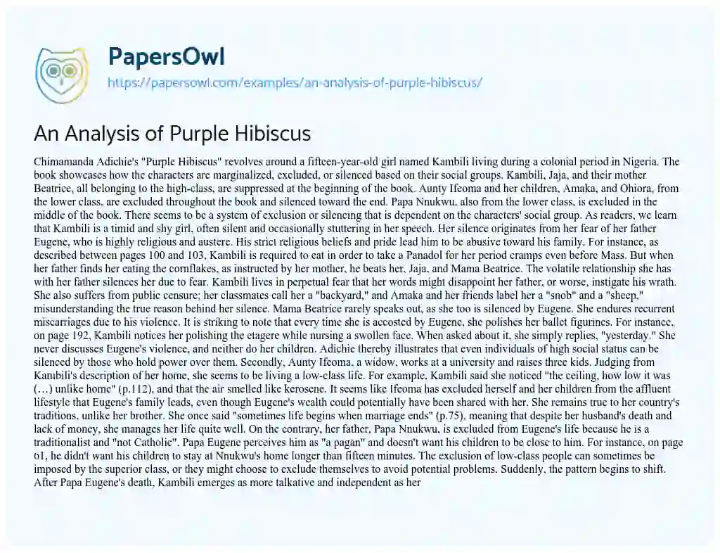 Essay on An Analysis of Purple Hibiscus