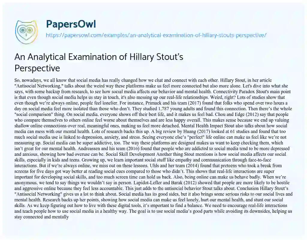 Essay on An Analytical Examination of Hillary Stout’s Perspective