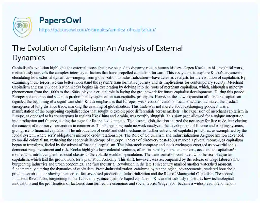 Essay on An Idea of Capitalism