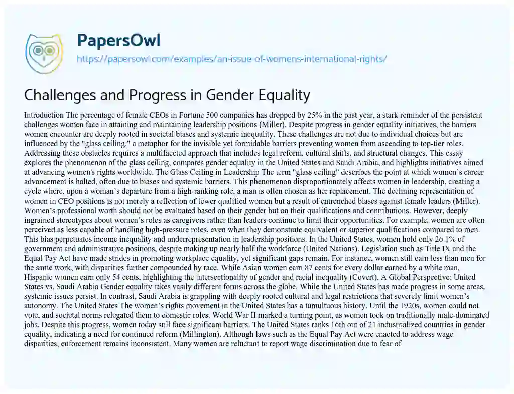 Essay on An Issue of Women’s International Rights