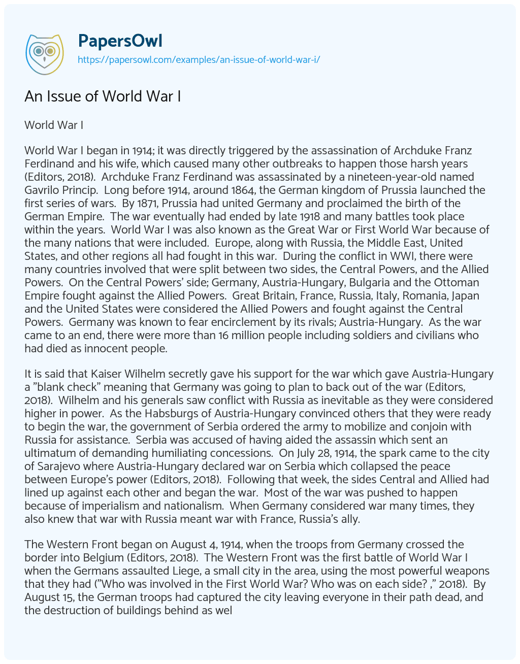 An Issue of World War i essay