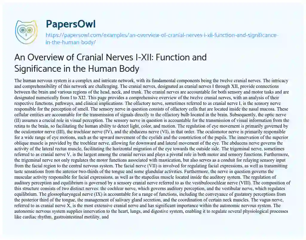 Essay on An Overview of Cranial Nerves I-XII: Function and Significance in the Human Body