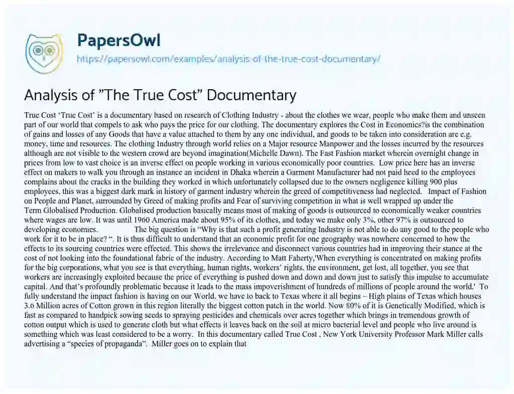 Essay on Analysis of “The True Cost” Documentary