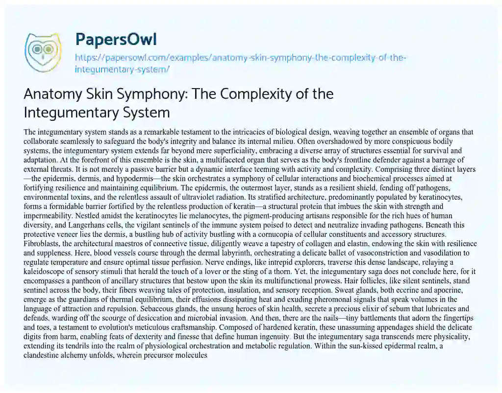 Essay on Anatomy Skin Symphony: the Complexity of the Integumentary System